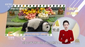 宿舍里的贱奴女虐女被荡秋千玩
